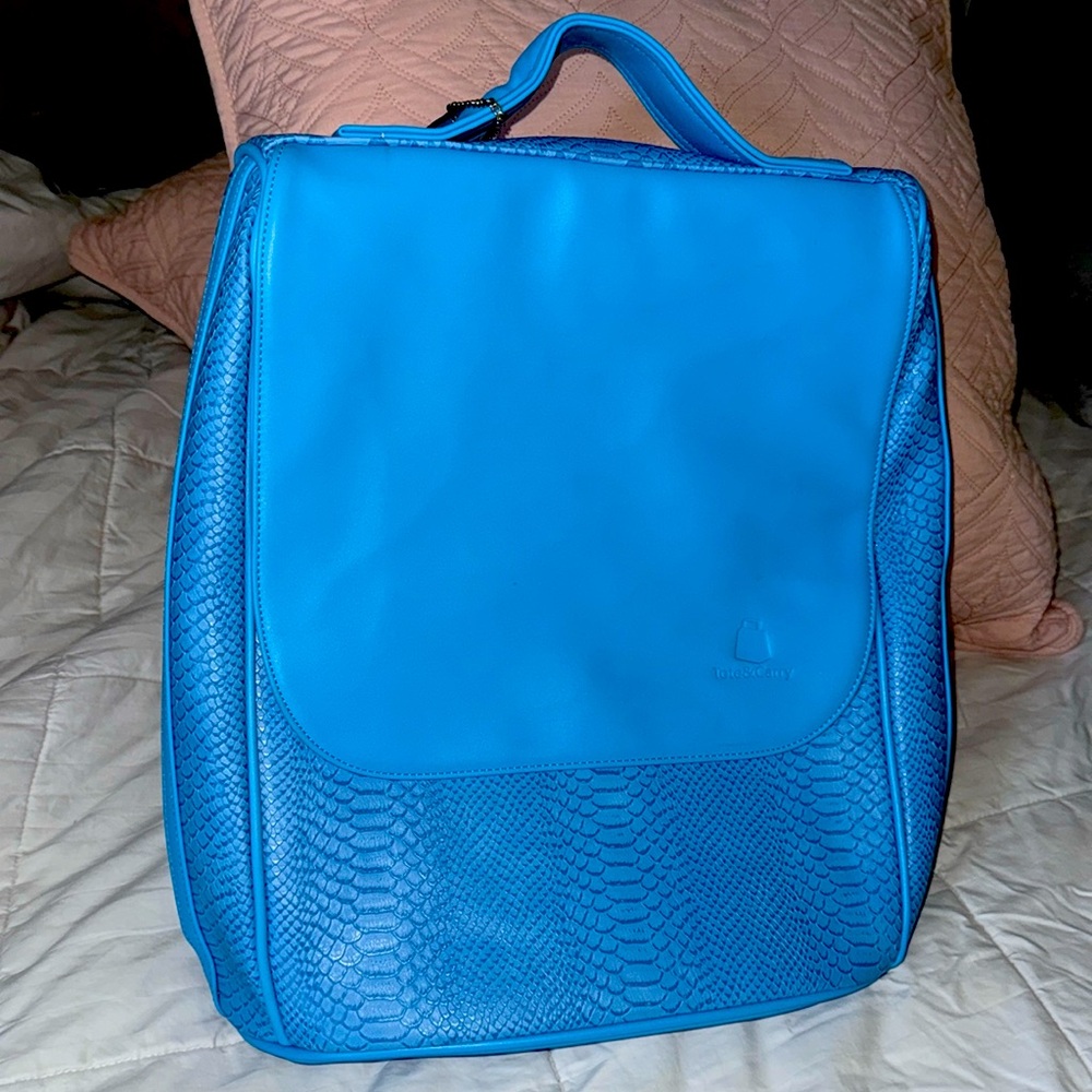 Tote & Carry Like New Backpack Sky Blue Apollo II